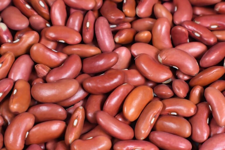 The Role of Food Industry in Celebrating Diversity
