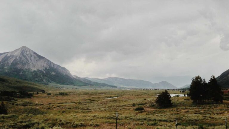 What Analytics Can Be Viewed On The 11Xplay Online Dashboard?